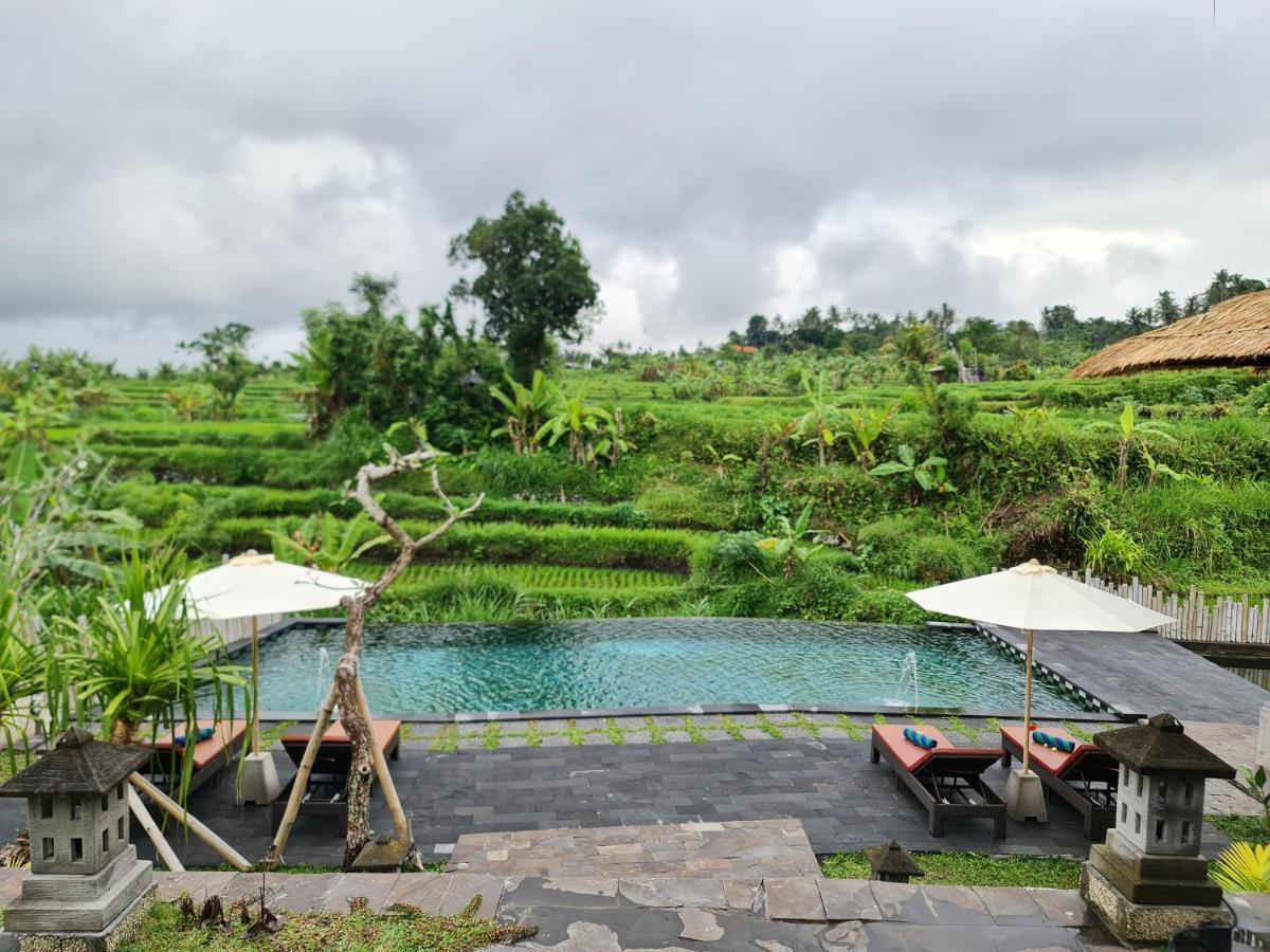 Alamgangga Villas Tirta Gangga Karangasem  Luaran gambar
